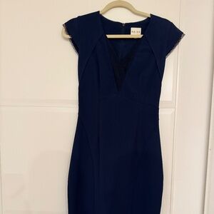 Gorgeous Reiss blue pencil dress